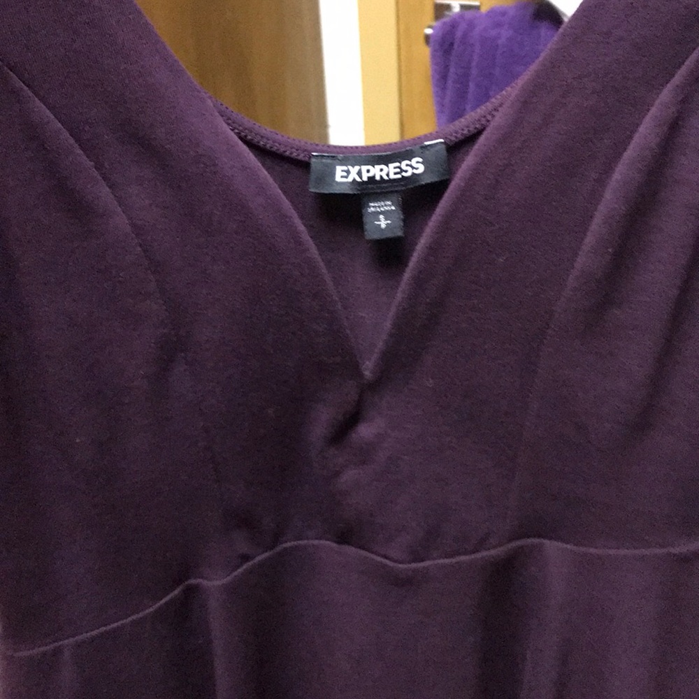 Express Dress - Picture 2 of 3
